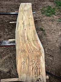 Ambrosia Maple